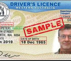 Western Australia Driving License, Western Australia Driving License price, Western Australia Driving License in , Western Australia Driving License PSD price, Western Australia Driving license PSD File, Western Australia Driving License PSD low price, Western Australia Driving License PSD Template 10$, Western Australia Driving License PSD Template price, Western Australia Driving License PSD Template discount price, Western Australia Driving License PSD Template free download, Western Australia Driving License PSD Template in , Western Australia Driving License PSD Template low price, Western Australia Driving license template buy, Western Australia Driving license template buy and sell, Western Australia Driving license template free, All States Driving license template, blank Driving license template, Buy Driving licence online, Buy Driving license online in USA, dmv Driving license, Driving license template, driving license, Fake Driving license, Fake Driving license template, fake id, fake ids, how to get a fake id, purchase online Driving license in USA, us Driving license, us Driving license generator, Us Driving license PSD File, US Driving license PSD Template, usa Driving license template, usa Fake Driving license