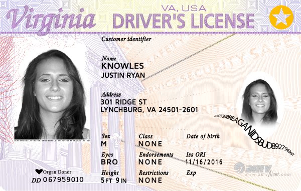 Virginia Driving License PSD Template  V1