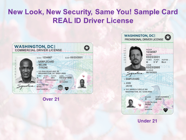 Washington DC Driving License PSD Template  V1